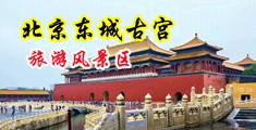 啊啊啊!使劲操啊!好爽视频中国北京-东城古宫旅游风景区